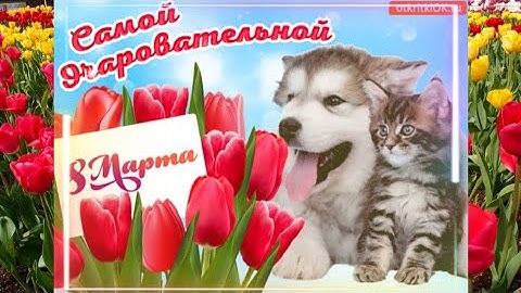 Chúc tất cả chị em phụ nữ ngày 8/3 luôn xinh đẹp, trẻ trung và hạnh phúc