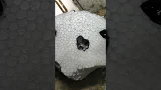 Don't Make This T7000 Glue Mistake! 🤯❌ Mobile Repairing Tricks #shorts #mobilerepairing