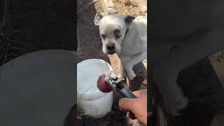 #2149 el paso Texas , aquí hay precion de agua y es manguera de 3/4 nada que se fue ela agua por hor