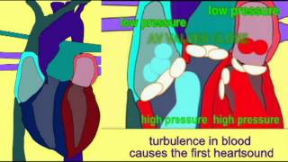 THE CARDIAC CYCLE SONG