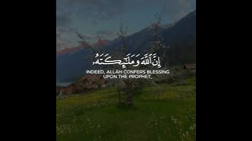 قرآن الكريم بصوت سعد الغامدي اجمل حالات واتس اب دينية سورة الأحزاب فيديو قصيره 🤍🌿