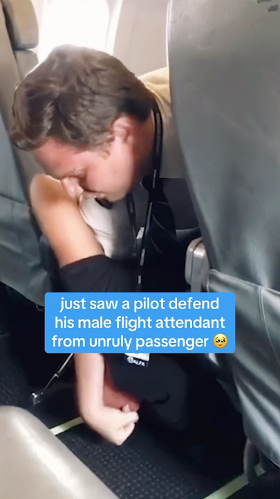 Pilot defends flight attendant #shorts