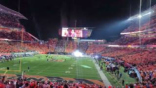 Cincinnati Bengals Stripe The Jungle