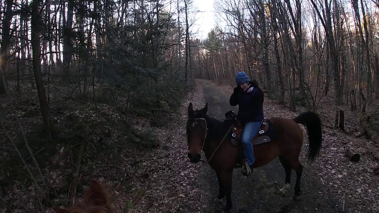 Ware River Rail Bed, Barre, MA 16 APR 2020 Part Four - YouTube