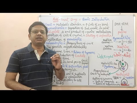 Anti Gout Drugs
