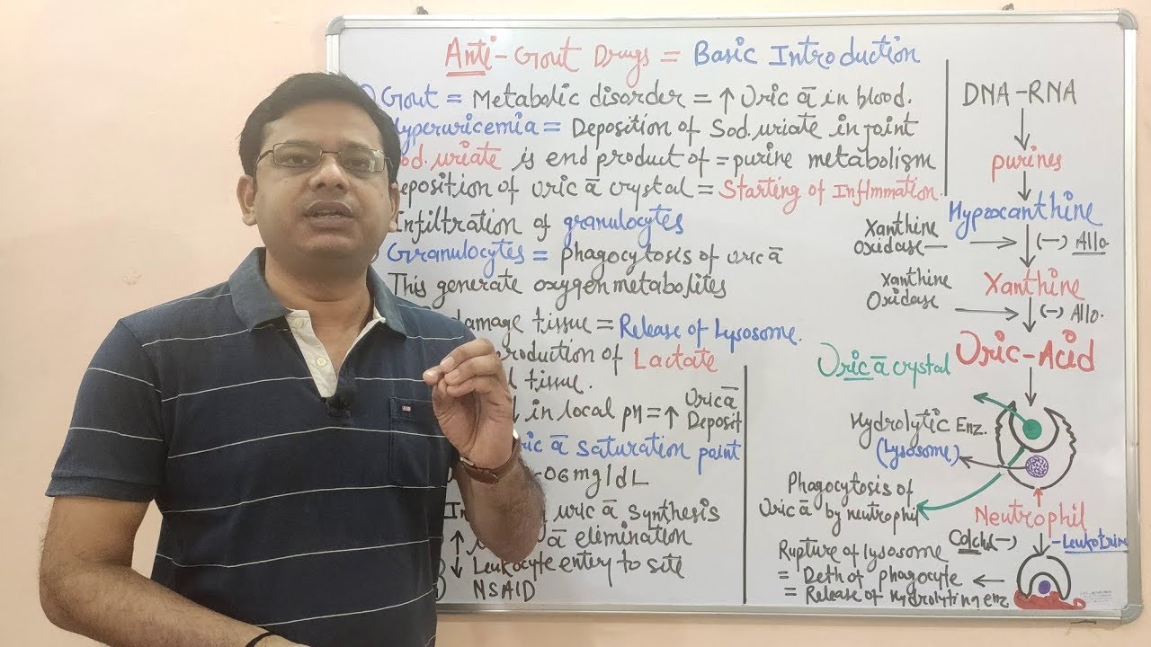 Anti Gout Drugs (Part01) = Basic Introduction and Pathophysiology of