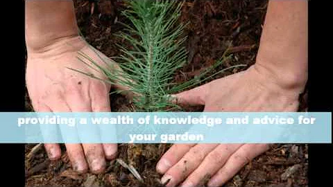 Arthur Barton Garden Services