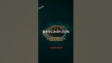 والله يعلم متقلبكم ومثواكم❤️ #سورة_محمد #ماهر_المعيقلي #صوت_جميل #تلاوة_خاشعة #قرآن_كريم #الجزائر