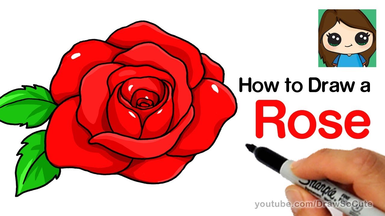 How to draw a rose: easy step-by-step rose drawing