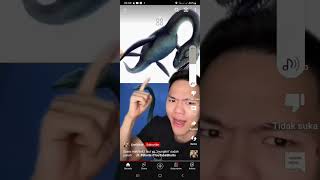 Bikin Kaget Suara Hewanhewan Yang Sudah Punah Yang Seram Banget
