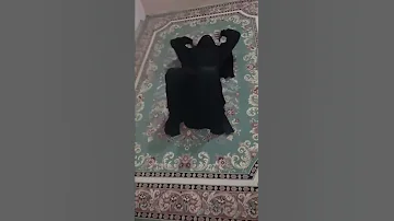 وحده مجنونأ البنات لما يجو يتمرنو 
