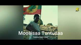 New Oromo Music 2020 - Moosisaa Tuntunaa - Gaaffii Sabaa