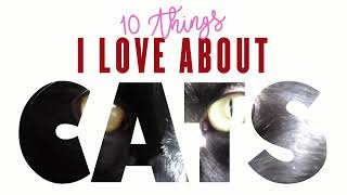 10 Things I Love About Cats - Cole and Marmalade
