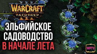 ЭЛЬФИЙСКОЕ САДОВОДСТВО В НАЧАЛЕ ЛЕТА: Warcraft 3 Reforged
