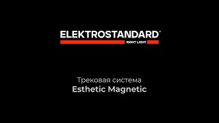 Трековая магнитная система Esthetic Magnetic Elektrostandard