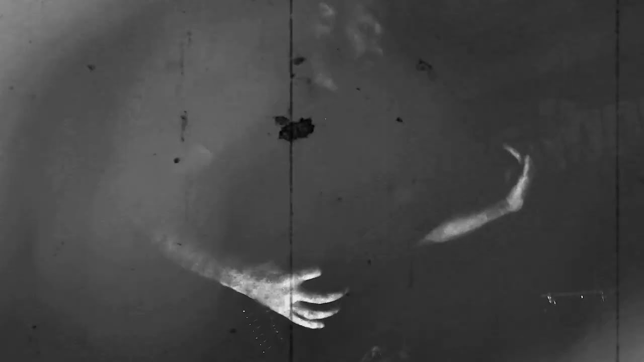 DUSTBORN – Unconcealed Atrocities [Music video]