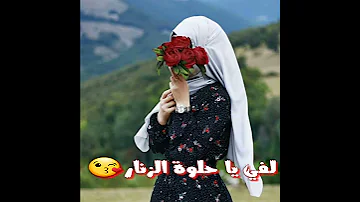 حالات واتس اب لفي يا حلوة الزنار 