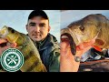 ОГРОМНЫЙ ОКУНЬ. Лучшая рыбалка сезона 2020(часть 1). Ловля щуки в октябре