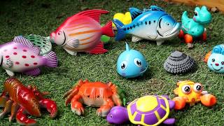 BiBo TV: Fishing Game for Children - Fishing Videos for Children - Fishing for Kids - Câu cá đồ chơi