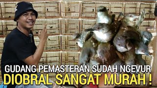 YANG LAGI VIRAL ! OBRAL MASTERAN TEMURAH SE-JABODETABEK DI BOWO MURAI JELAMBAR JAKARTA BARAT