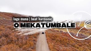 O Mekatumbale - Lagu Muna | Anton Irwanto (Beat Harmonic)