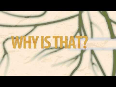Root Cause Analysis