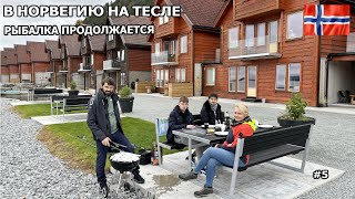видео: В Норвегию на Тесле на рыбалку. Улов пошел, рыбалка просто супер. Грилем рыбу не отходя от берега.#5 картинка: В Норвегию на Тесле на рыбалку. Улов пошел, рыбалка просто супер. Грилем рыбу не отходя от берега.#5