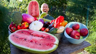 Colorful October Garden Harvest and Tour, If You Want Organic Food You Have to Grow it Yourself