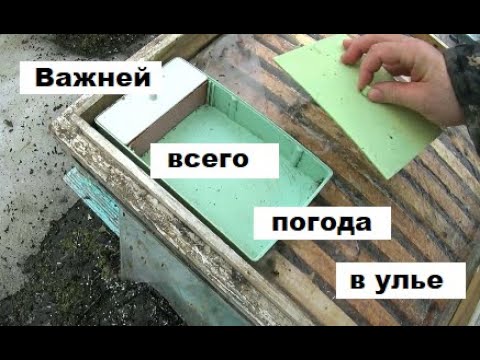 Влияние погоды на