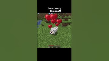Minecraft memes