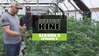 GROWING EXPOSED S3 EP6 | HUMBOLDT KINE