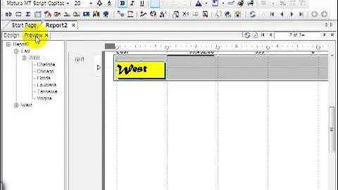 32 Crystal ReportsXI Design a Report Beyond the Basics 1  ColorsFontsBorders
