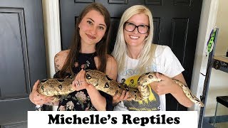 Michelle's Reptile Room Tour