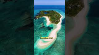 Apo Reef: The Philippines’ Underwater Giant