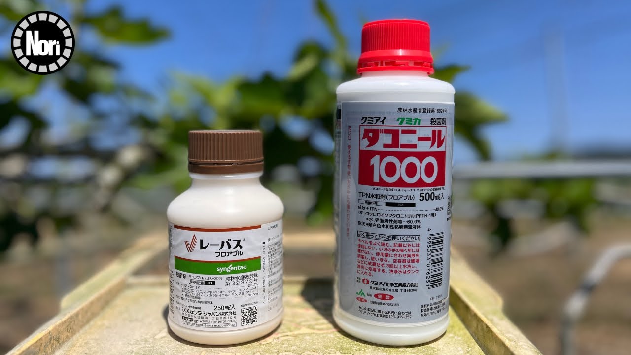 Инжир Профилактика болезней Пестициды