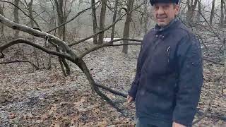 VID 20240203 131105