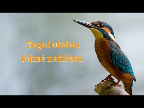 Video: Mistinis Atvirukas, Iškreipiantis žmogaus Veidus - Alternatyvus Vaizdas