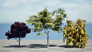 Australian Acacia Cootamundra Wattle Plant Trees 3d animation with unreal engine
