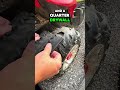 Upgrade your power wheels with these genius mods #powerwheels Mp3 Song