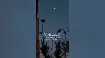 {الله نور السموات والأرض} ..تلاوه رائعه للشيخ ياسر الدوسري من سوره النور 🤍