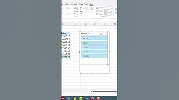 Create Excel PivotTable and Slicer is Less Than One Minute! #Short Excel Magic Trick 25