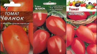 Челнок - томаты для открытого грунта. Опыт выращивания от Сергея Шаманова