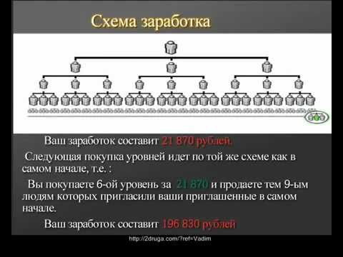 интерны 137