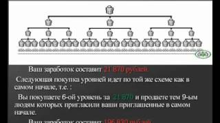 интерны 137 интерны 137