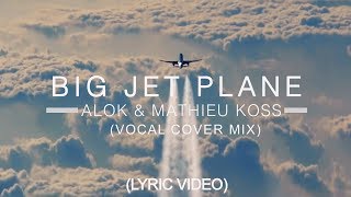 Alok & Mathieu Koss - Big Jet Plane (Vocal Cover Mix + Lyric Video) | HD