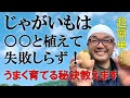 じゃがいもは〇〇と植えて失敗しらず！！うまく育てる秘訣教えます。【自然農法】