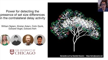 VWMS - Power for detecting the presence of set size differences in the contralateral delay activity