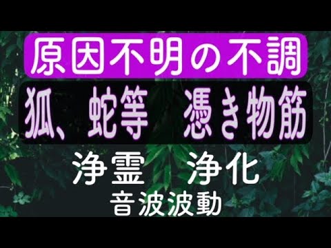 除霊 自縛霊 生霊 怨霊 悪霊 低級霊 動物霊 Www Fsycci Com