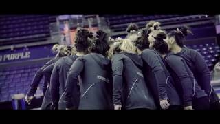 Washington Gymnastics 2017 Intro Video