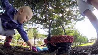 Funny Outtakes and Bloopers Easter egg hunt, cute bunnies gather chocolate eggs